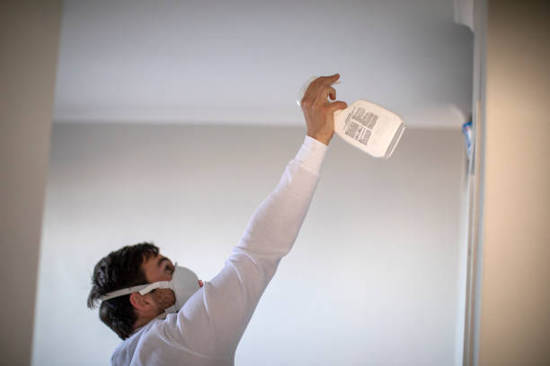 Best Commercial Mold Removal  in Torrington, WY