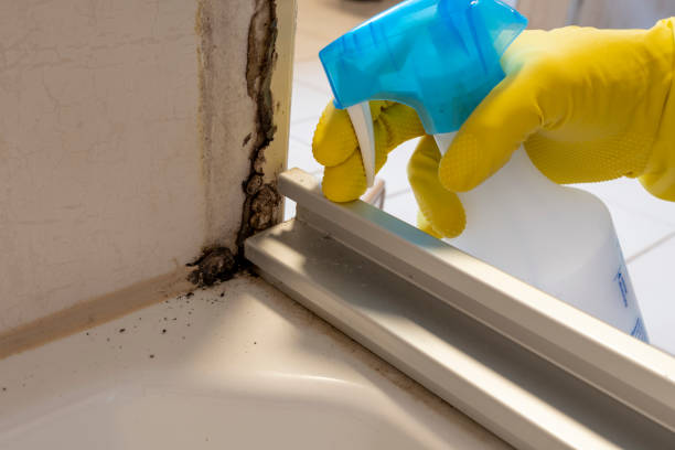 Water Damage Restoration in Torrington, WY