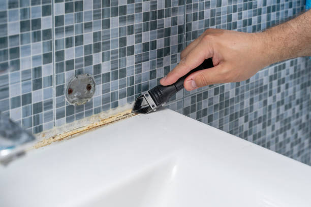 Best Mold Testing  in Torrington, WY
