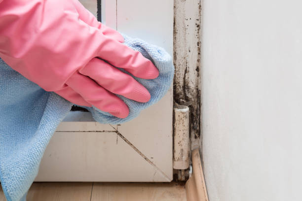 Water Damage Restoration in Torrington, WY